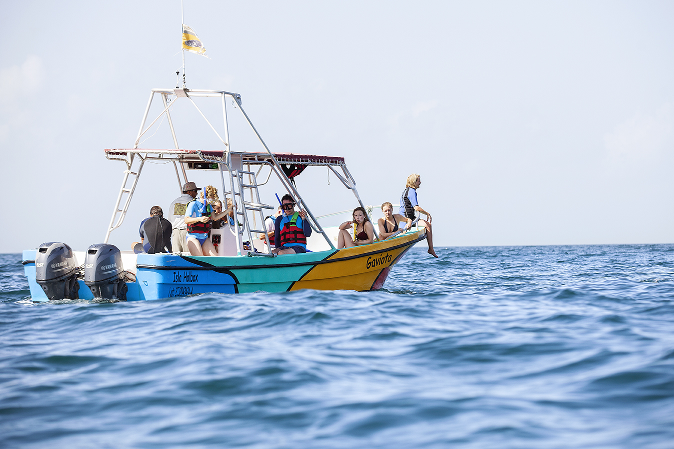 Isla Holbox Tiburon Ballena DPG_IMG_7327